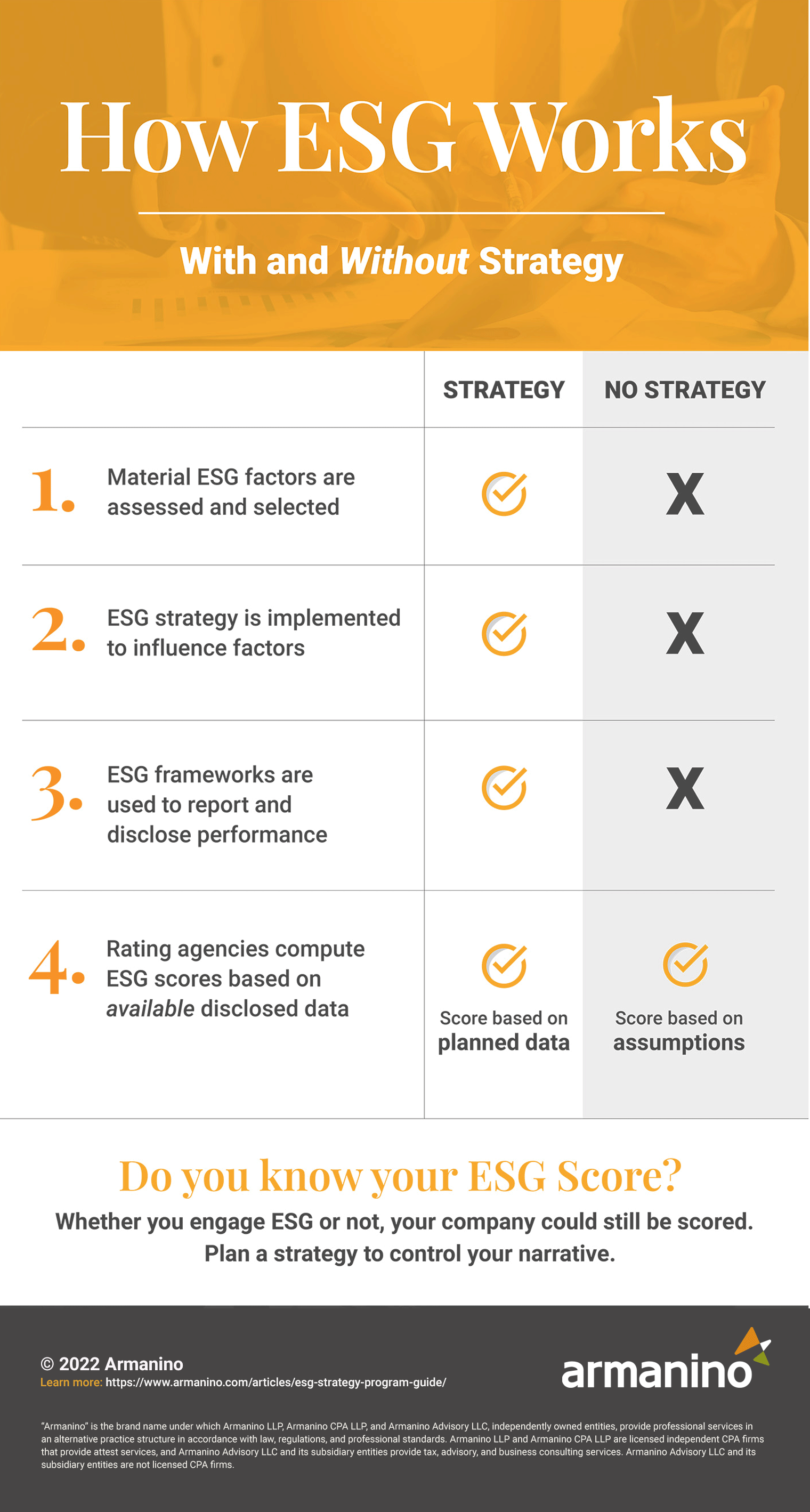 How ESG Works – With or Without Strategy Infographic