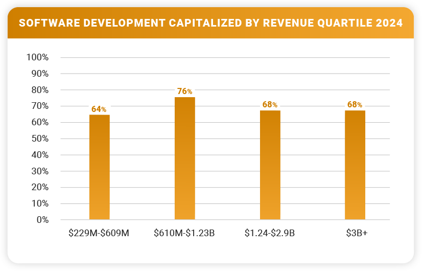 Software Development Capitalized by Revenue 2024